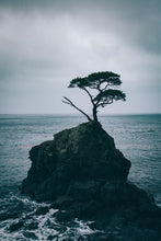 Load image into Gallery viewer, L'arbre