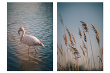 Load image into Gallery viewer, SUMMER BLUES