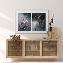 Load image into Gallery viewer, BLUE CAMARGUE