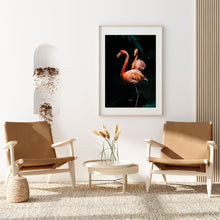 Charger l'image dans la galerie, FLAMINGOS