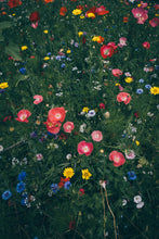 Charger l'image dans la galerie, Endless Bloom

