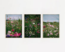 Charger l'image dans la galerie, Soft Bloom - Trio
