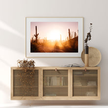 Load image into Gallery viewer, SAGUARO
